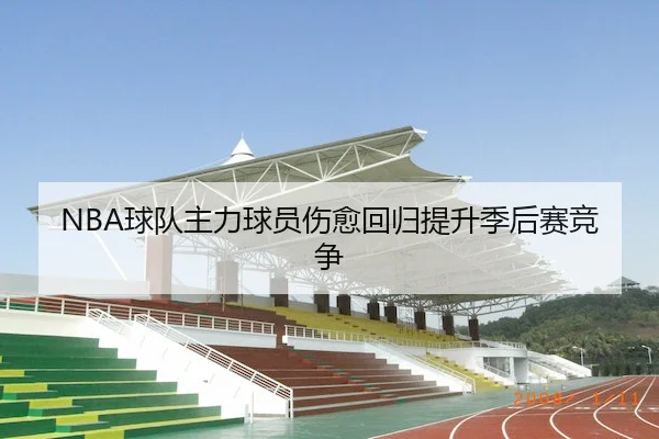 NBA球队主力球员伤愈回归提升季后赛竞争